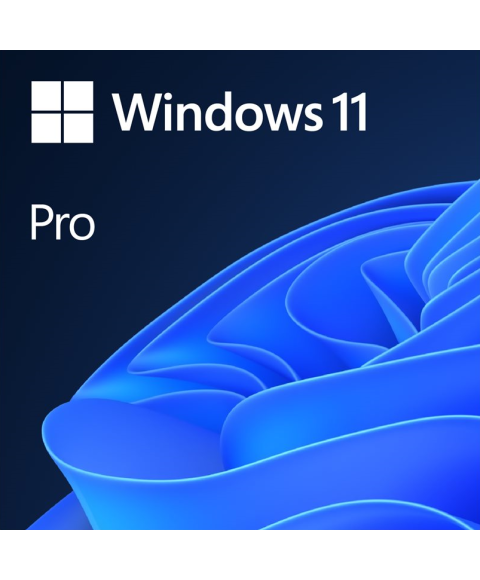 Windows 11 Pro
