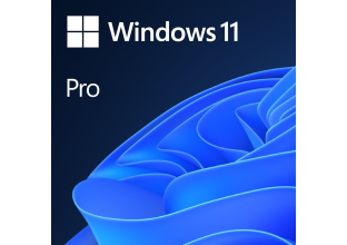 Windows 11 Pro
