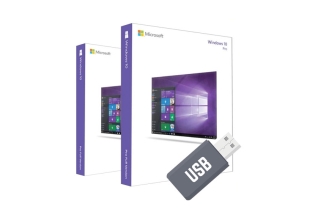 Windows 10 Professional USB